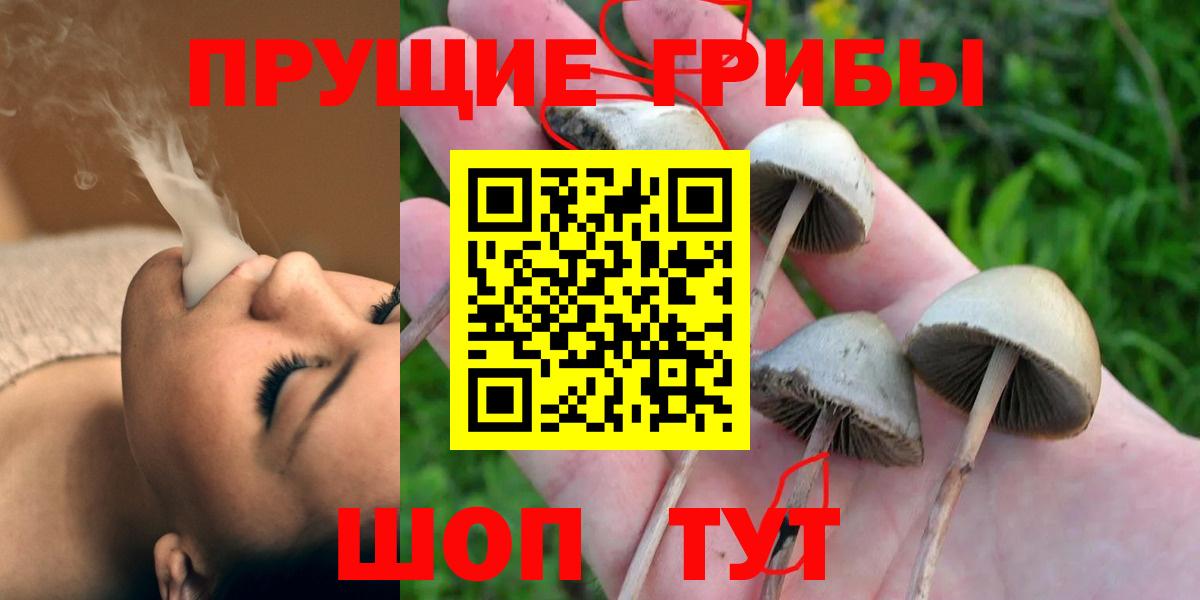 Городец  купить наркоту  Вход с VPN  Галлюциногенные грибы мицелий 